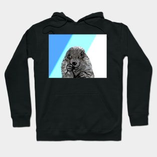 Cute Prairie Dog Drawing Hoodie